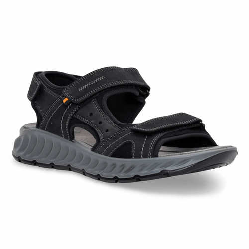 Ara Men's Everett Black Buckle