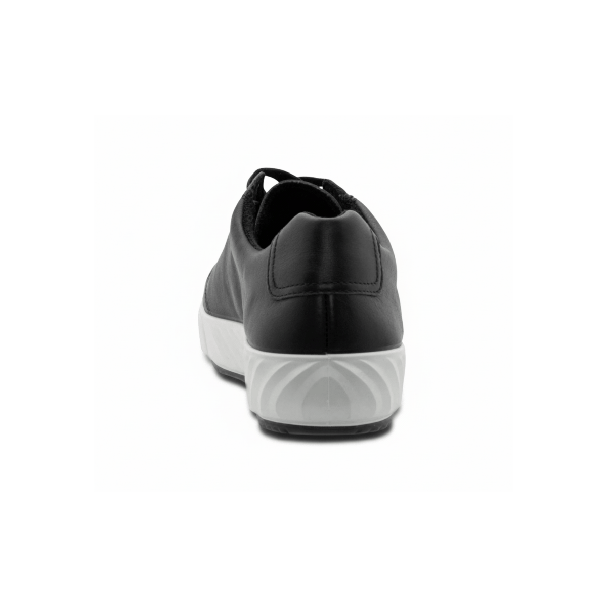Ara Women's Alexandria Black Leather/White Sole