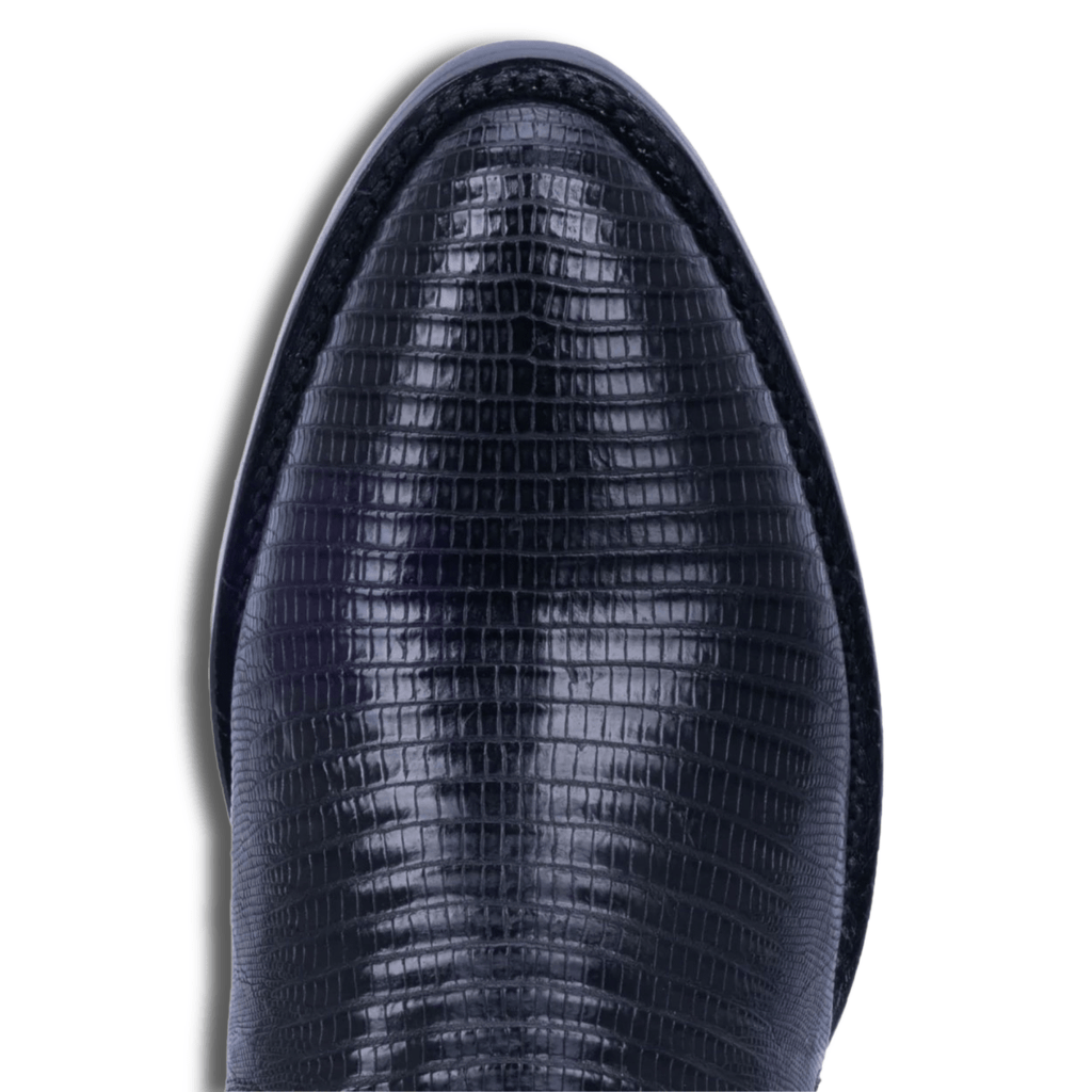 Dan Post Men's Winston Teju Lizard Black