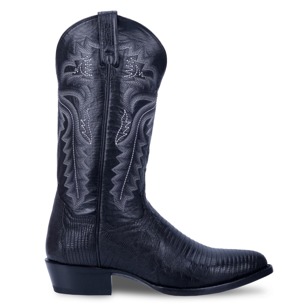 Dan Post Men's Winston Teju Lizard Black