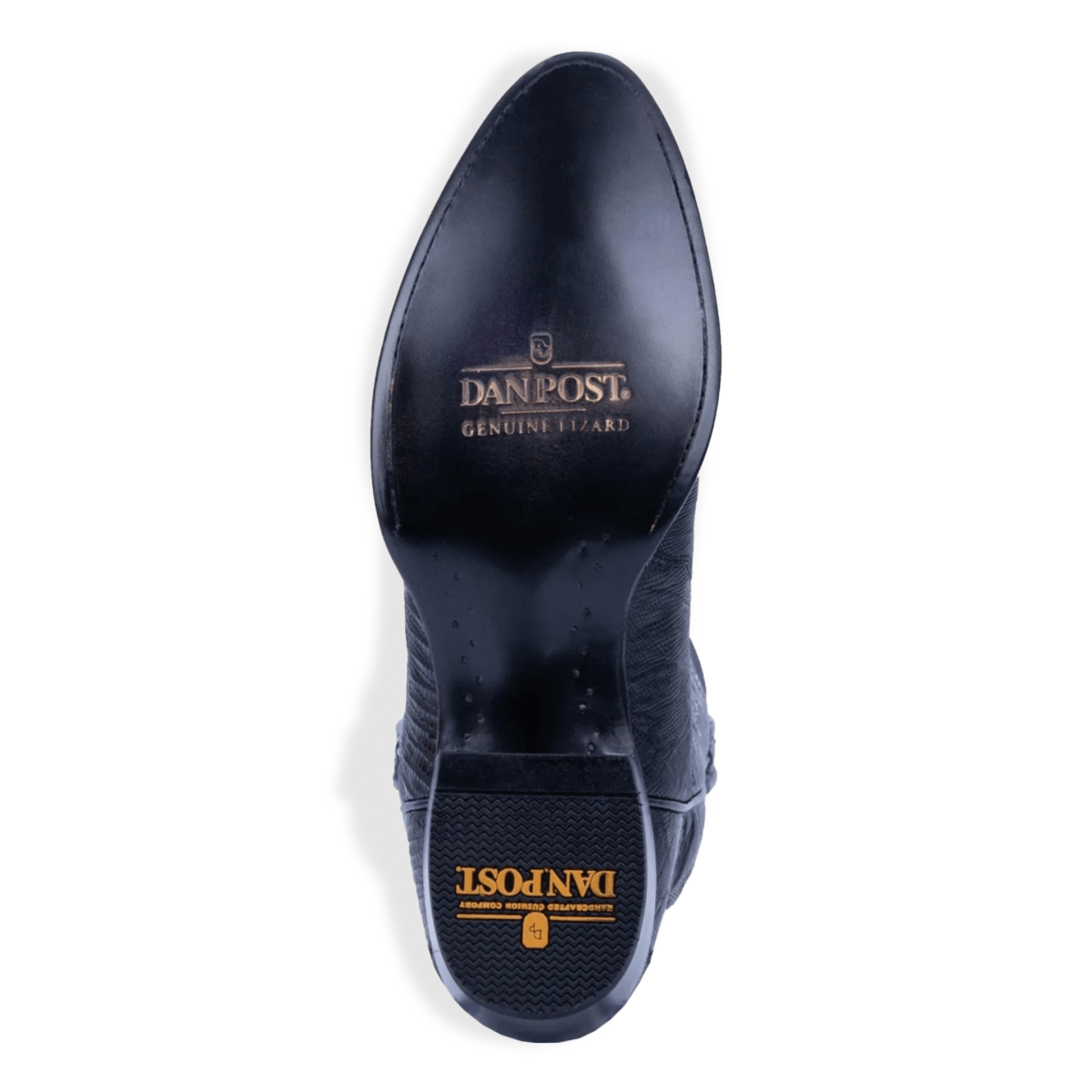Dan Post Men's Winston Teju Lizard Black