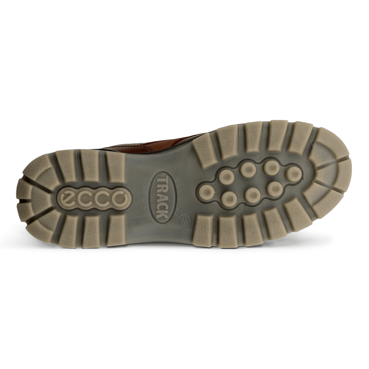 Ecco Men's Track 25 Low Gore-Tex Bison Nubuck