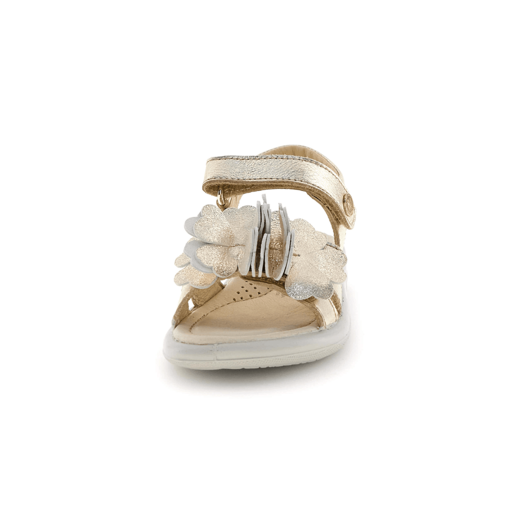 Naturino Girls (Sizes 27-32) Salya Metallic Gold/Glitter Flowers