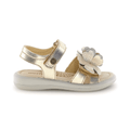 Naturino Girls (Sizes 27-32) Salya Metallic Gold/Glitter Flowers