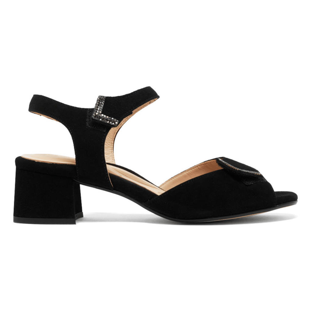 PieSanto Women's 230288 Black Suede